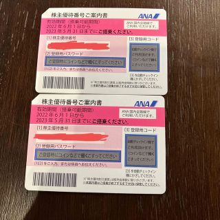 エーエヌエー(ゼンニッポンクウユ)(ANA(全日本空輸))のANA（全日空）株主優待券2枚（有効期間2023年5月31日搭乗）(その他)