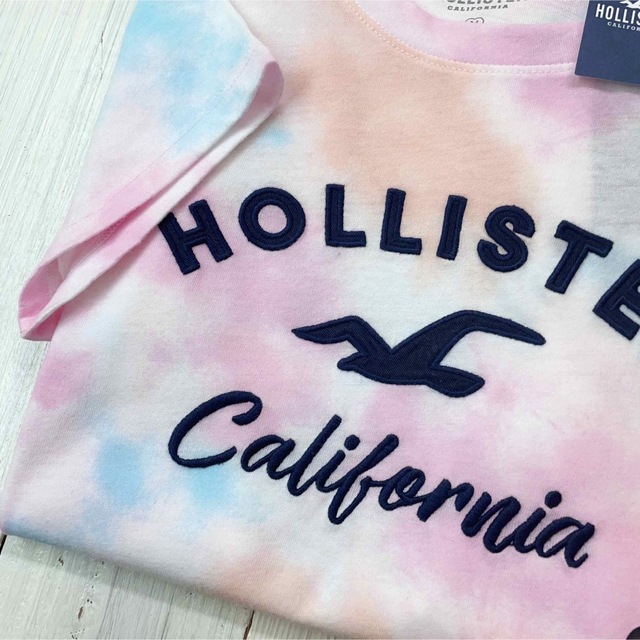 Hollister(ホリスター)のキュートなカラフルレインボー♩カモメ&ロゴ刺繍/半袖Tシャツ【S】ホリスター レディースのトップス(Tシャツ(半袖/袖なし))の商品写真