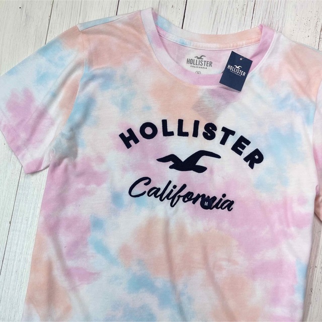 Hollister(ホリスター)のキュートなカラフルレインボー♩カモメ&ロゴ刺繍/半袖Tシャツ【S】ホリスター レディースのトップス(Tシャツ(半袖/袖なし))の商品写真