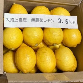 広島県大崎上島産無農薬レモン　3.5kg(フルーツ)