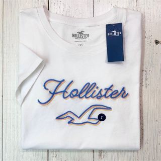 ホリスター(Hollister)の【NEW】大活躍！カラフルなカモメ刺繍&ロゴ/半袖Tシャツ【S】ホリスター(Tシャツ(半袖/袖なし))