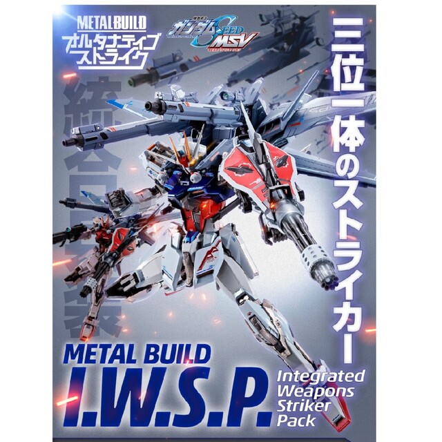 メール便対応! METAL BUILD ストライクノワールガンダム・i.w.s.p.