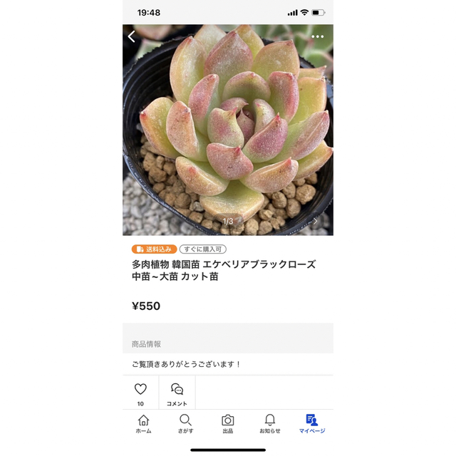 ザッツ様専用出品ページです! | visitsantaflavia.it