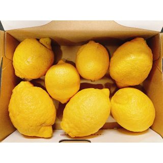 無農薬レモン7  瀬戸内産(フルーツ)
