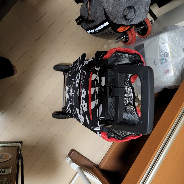 保冷機能付きショッピングカート レディースのバッグ(スーツケース/キャリーバッグ)の商品写真