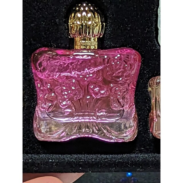 ANNA SUI(アナスイ)の希少アナスイ花鳥紋様ポーチ入りミニ香水4ml5点セット コスメ/美容の香水(香水(女性用))の商品写真