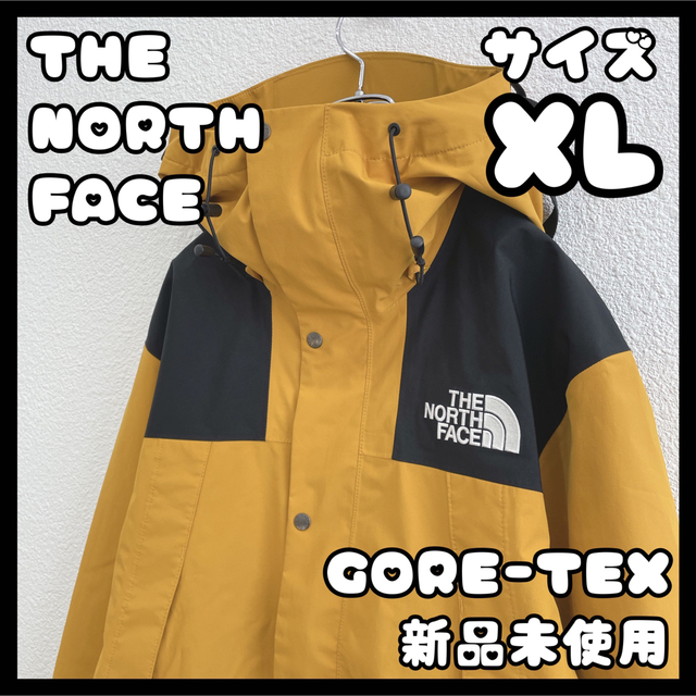 【海外限定!!】gore-tex ノースフェイス　マウンテンパーカー