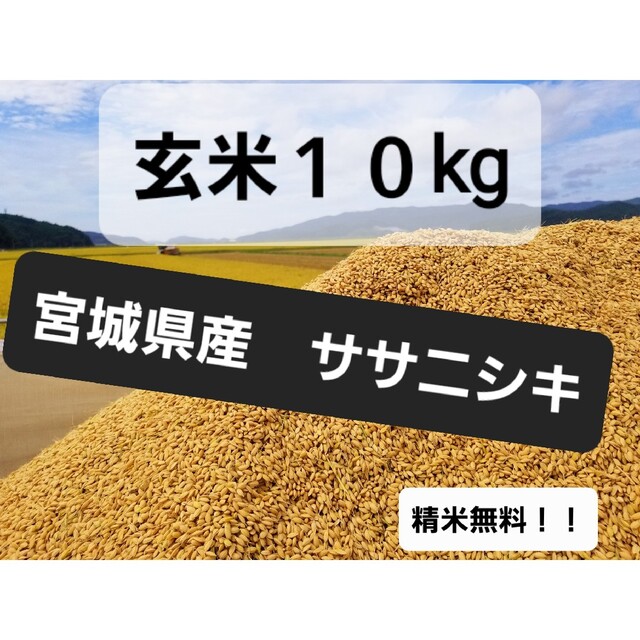 【新米】宮城県産　ササニシキ　玄米10kg　精米無料！