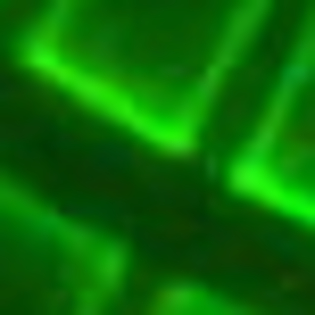 23Y-SB-2-4 RORU