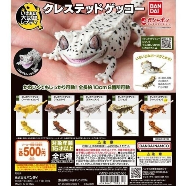 爬虫類　ガチャガチャセット エンタメ/ホビーのおもちゃ/ぬいぐるみ(キャラクターグッズ)の商品写真