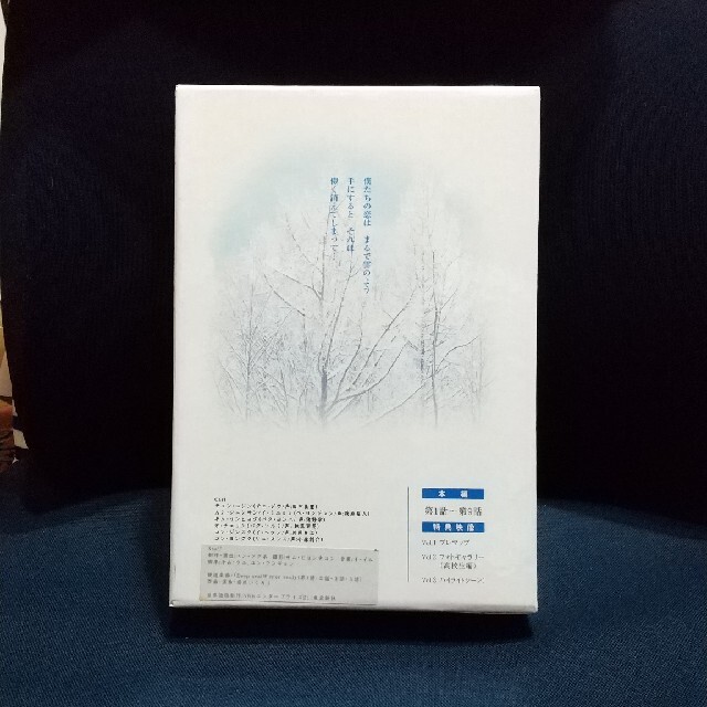 冬のソナタ DVD BOX 1 ペ・ヨンジュン チェ・ジウ エンタメ/ホビーのDVD/ブルーレイ(TVドラマ)の商品写真