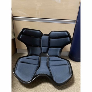 MTG Style Athlete II スタイルアスリート2 ブルー(座椅子)