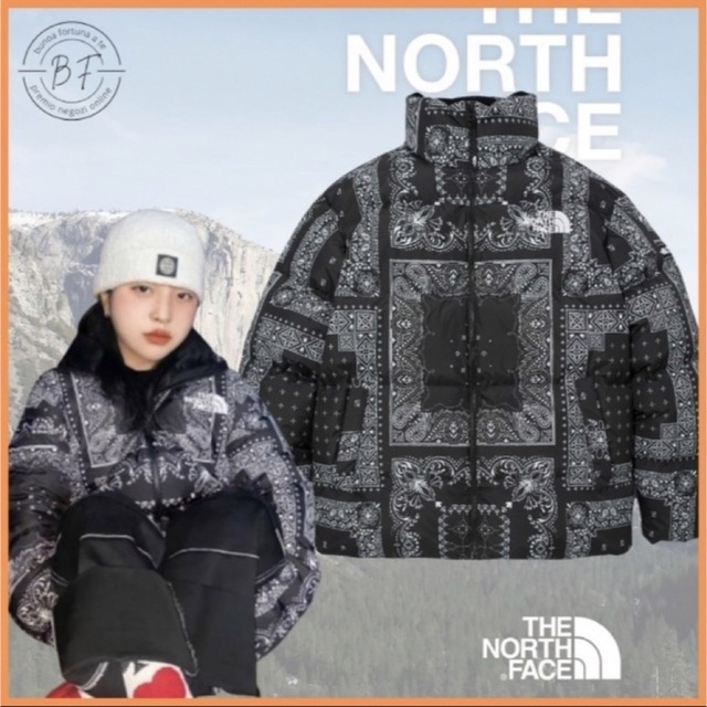 THE NORTH FACE　ノースフェイス　ダウンジャケット　ペイズリー　韓国 | フリマアプリ ラクマ