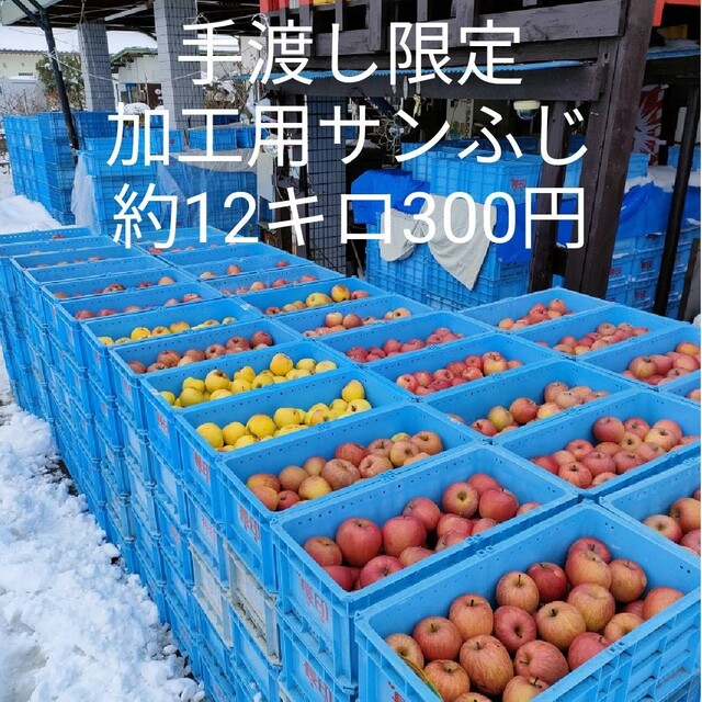 手渡し限定　信州産　加工用サンふじ　約12キロ 食品/飲料/酒の食品(フルーツ)の商品写真