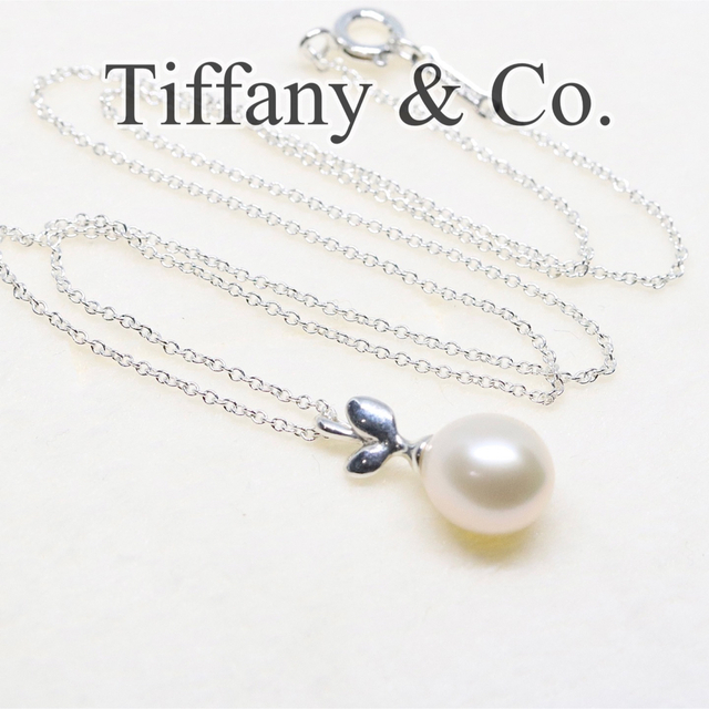 TIFFANY　オリーブ リーフ パール　ネックレス　シルバー　aq8206