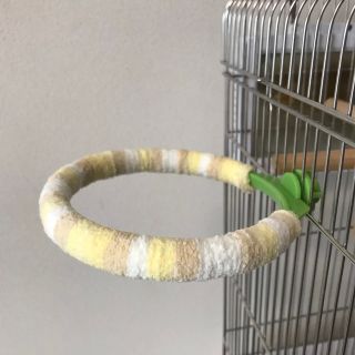 止まり木　パーチ(クリーム)(鳥)