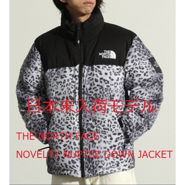 日本未入荷 The North Face NUPTSE DOWN JACKET灰