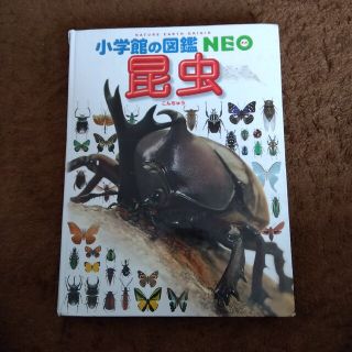 ショウガクカン(小学館)の小学館　昆虫　図鑑(知育玩具)