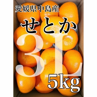 柑橘の大トロ！！愛媛県中島産【せとか】良品 3Lサイズ 5kg(フルーツ)