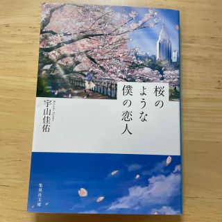 桜のような僕の恋人(文学/小説)