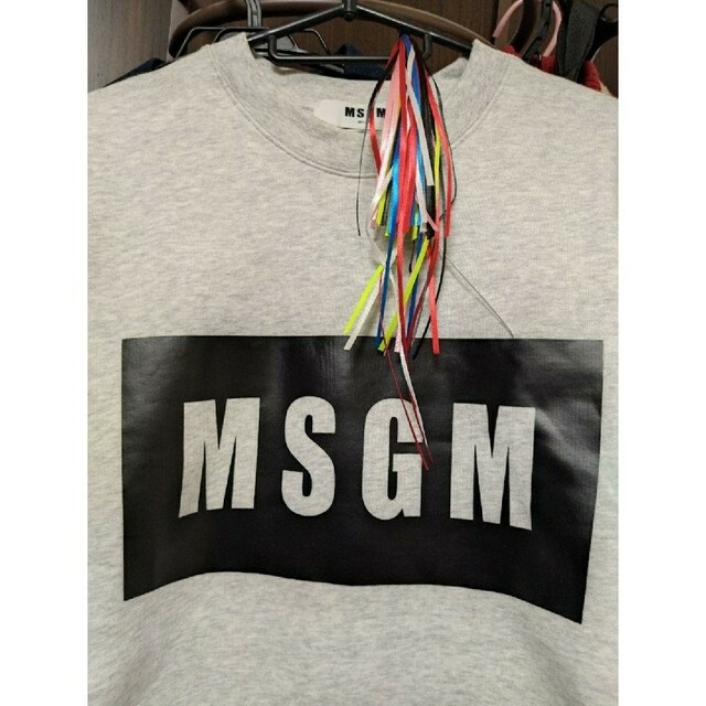 MSGM(エムエスジイエム)の【大人気】MSGM　ボックス　ロゴ　トレーナー パーカー新品未使用【即完売】 メンズのトップス(スウェット)の商品写真