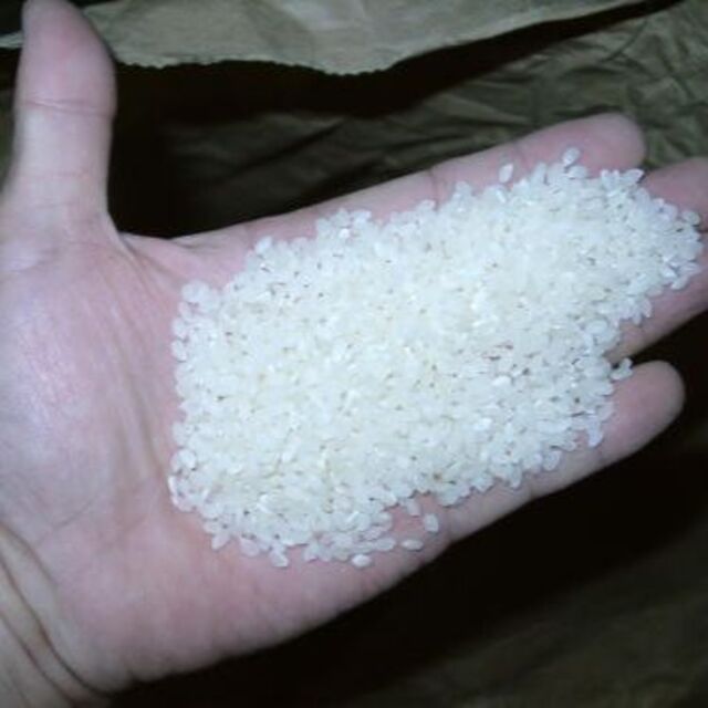 by　MARSHY's　玄米15kg（5kg×3袋）令和４年産新米ミルキークイーン　精米・分搗き米対応の通販　shop｜ラクマ