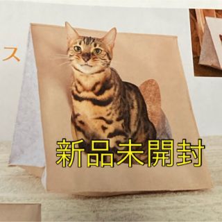 ねこのきもち 付録 さんかくフェルトハウス(猫)