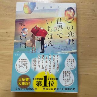 この恋は世界でいちばん美しい雨(文学/小説)