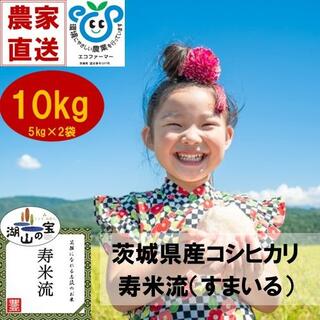 茨城県産コシヒカリ　寿米流-すまいる-（精米）10kg(米/穀物)