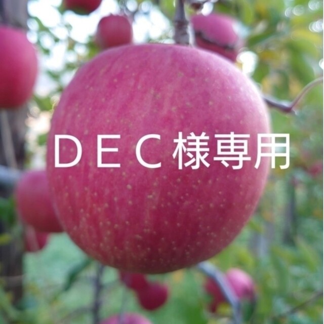 DEC様専用】の通販 by 佐藤農園's shop|ラクマ