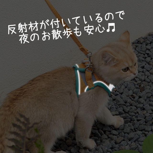 M オレンジ　グリーン　リード　ハーネス　猫　小動物　ペット　散歩 その他のペット用品(猫)の商品写真