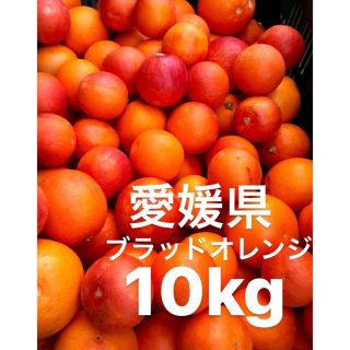 愛媛県産　ブラッドオレンジ　柑橘　10kg(フルーツ)