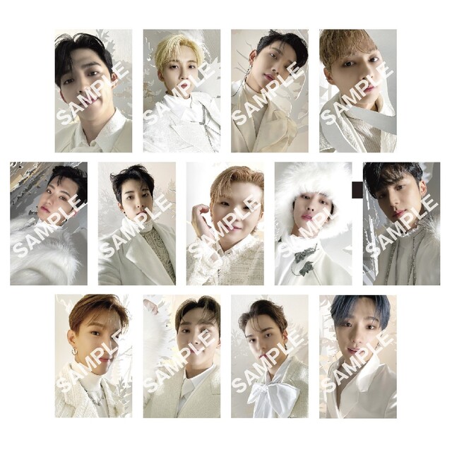 SEVENTEEN あいのちから エスクプス ラキドロ トレカ - www.yanbunh.com SEVENTEEN あいのちから エスクプス ラキドロ トレカ - www.yanbunh.com