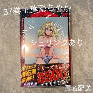 僕のヒーローアカデミア　37巻(少年漫画)