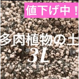 値下げ中❣️多肉植物　サボテンの土　約3リットル 即購入歓迎❣️(その他)