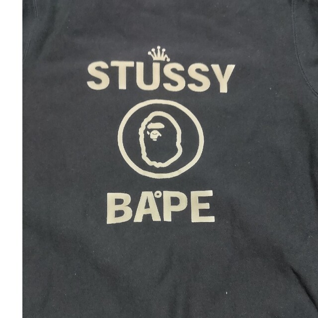 トランスポート ウィンダンシー スウェット エイプ STUSSY