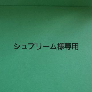 ★シュプリーム様専用ページ★(その他)