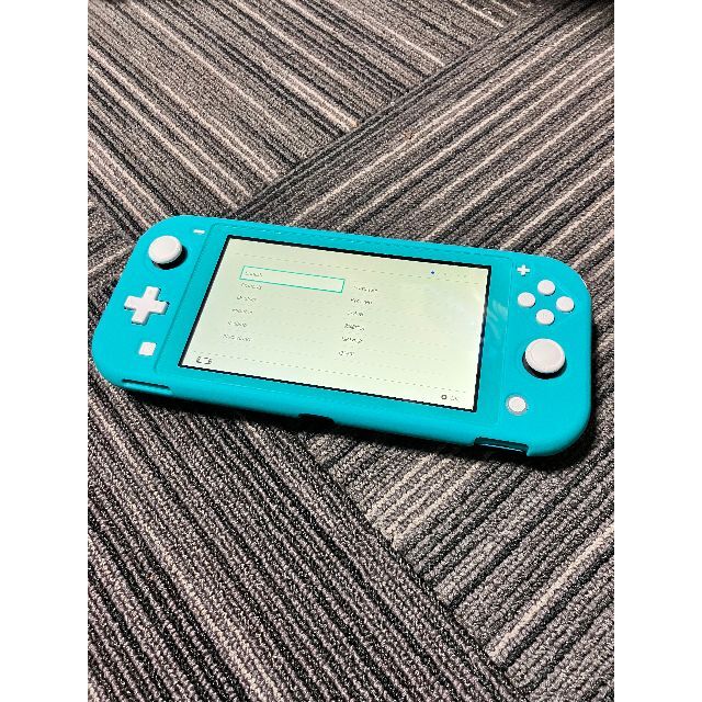 【動作確認済】ニンテンドースイッチライト ターコイズ　保護カバー付き