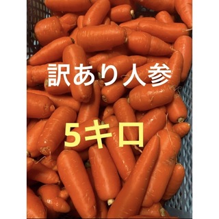 訳あり人参5キロ(野菜)