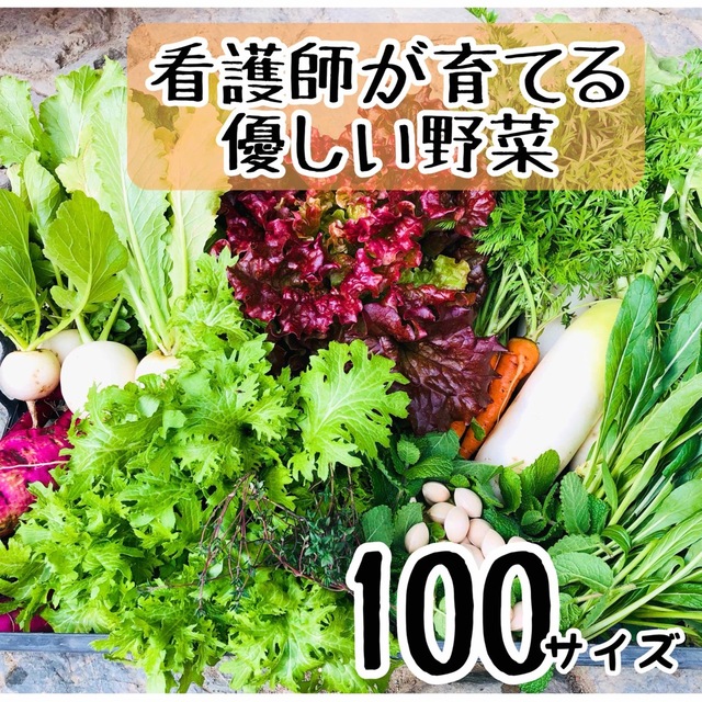 【無農薬野菜】看護師が育てる優しい野菜詰め合わせセット　採れたて野菜詰合 食品/飲料/酒の食品(野菜)の商品写真