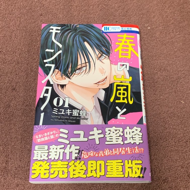 春の嵐とモンスター 1 エンタメ/ホビーの漫画(少女漫画)の商品写真