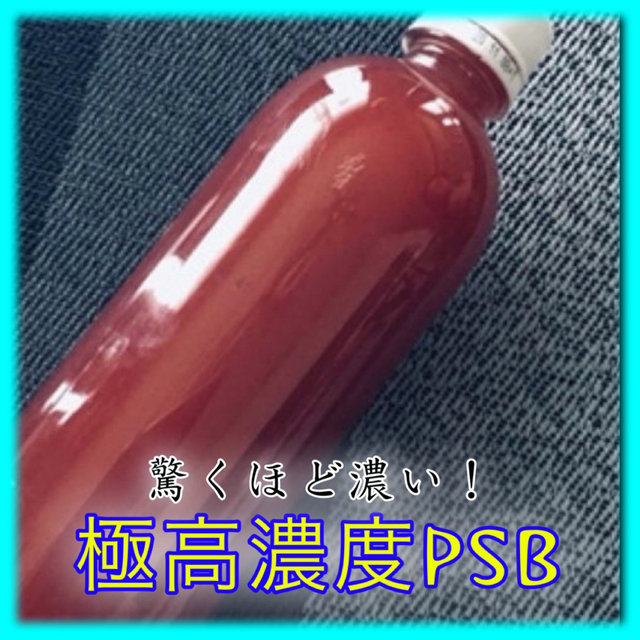 ⭐️ “極めて高濃度なプレミアムPSB種菌　1800ml スポイド付　期間限定品 その他のペット用品(アクアリウム)の商品写真