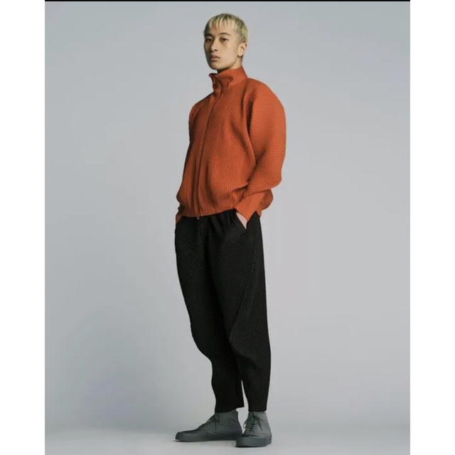 ISSEY MIYAKE(イッセイミヤケ)のhomme plisse issey miyake ARC メンズのパンツ(その他)の商品写真