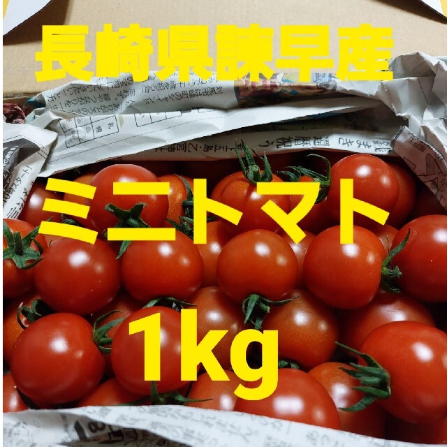 長崎県諫早産ミニトマト1kg 食品/飲料/酒の食品(野菜)の商品写真