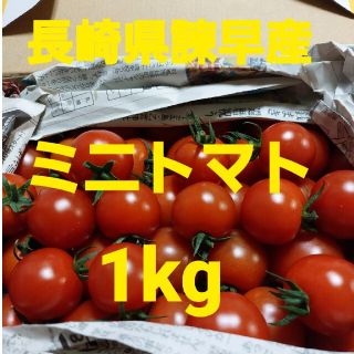 長崎県諫早産ミニトマト1kg(野菜)