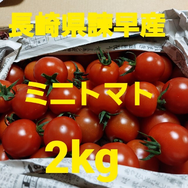 長崎県諫早産ミニトマト2kg 食品/飲料/酒の食品(野菜)の商品写真