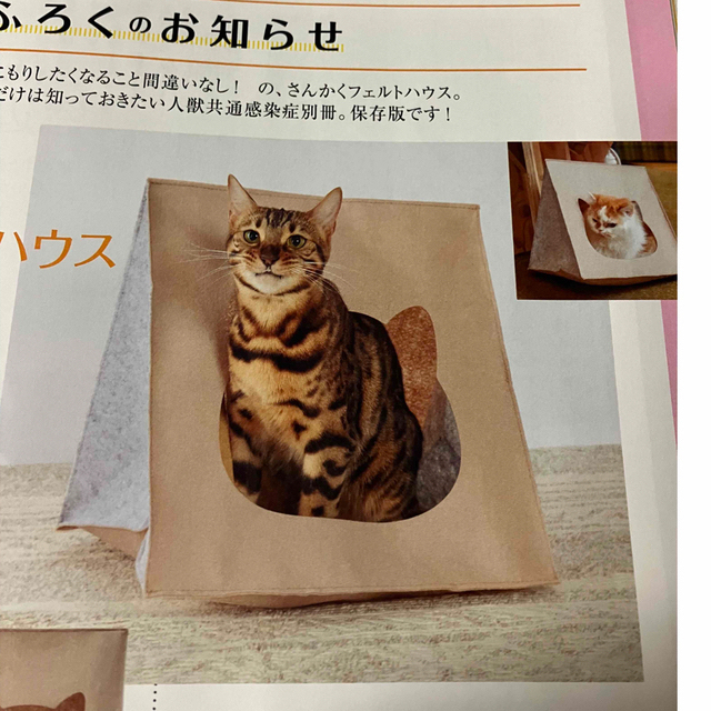 ねこのきもち付録　おこもり&まったり　さんかくフェルトハウス・フード&おやつ その他のペット用品(猫)の商品写真