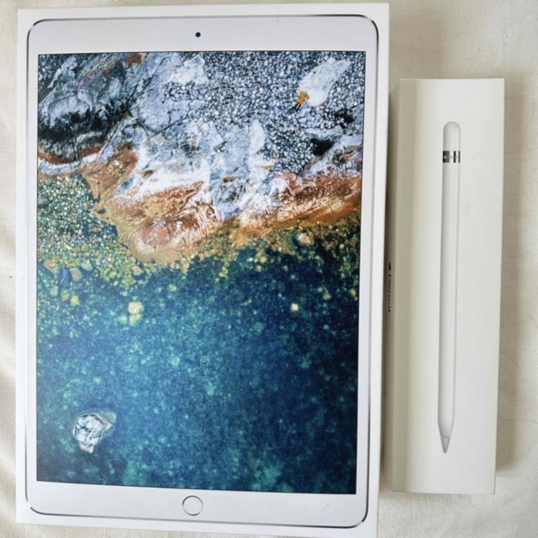【最終値下げ中】APPLE iPad Pro 3