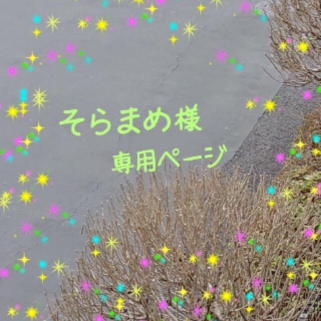 そらまめ様 専用ページの通販 by アロエ工房|ラクマ