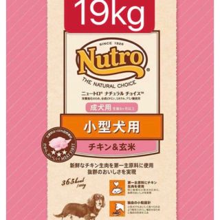 ニュートロナチュラルチョイス小型犬用成犬用生後8ヶ月以上チキン&玄米19kg(ペットフード)